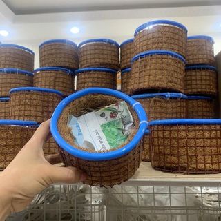 Tổ sinh sản cho chim chào mào, khướu,mi, ,cu gáy, hàng chống rỉ