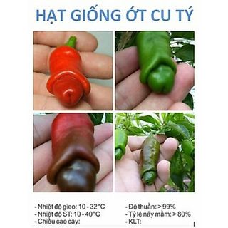Hạt giống ớt peter (ớt cu tí) 20 hạt