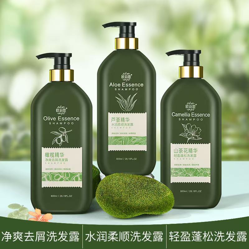 Olive Aloe Vera Tinh Chất Chống Gàu Camellia Dầu Gội Lông Tơ Kiểm Soát Dầu Dầu Dầu Gội Sữa Tắm Nướng