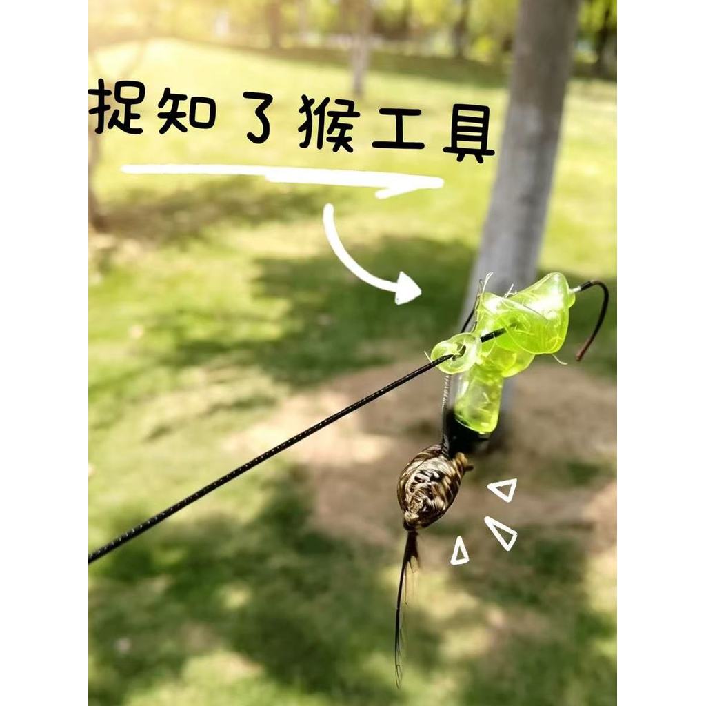 Mùa hè Sáng Tạo Cicada-Catching Cần Kính Thiên Văn Siêu Nhẹ Dính Tay Cầm Nhỏ Cicada-Catching Tay Cầm