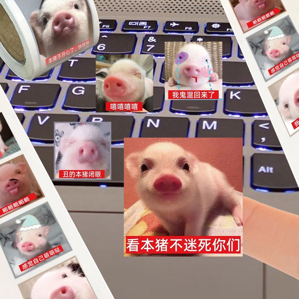 [500 Nhãn dán] Xiaoxiang Pig Meager Emoticon Gói cuộn Nhãn dán Xiaoxiang Pig Cát ngộ nghĩnh Điêu khắ