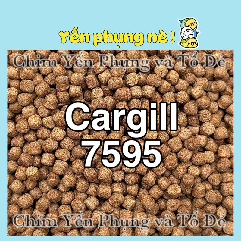 [Cám Nền Vàng] Cargill 7595 – Thức Ăn Cá 1kg (20% Đạm) | Dùng Nuôi Hoặc Câu Cá