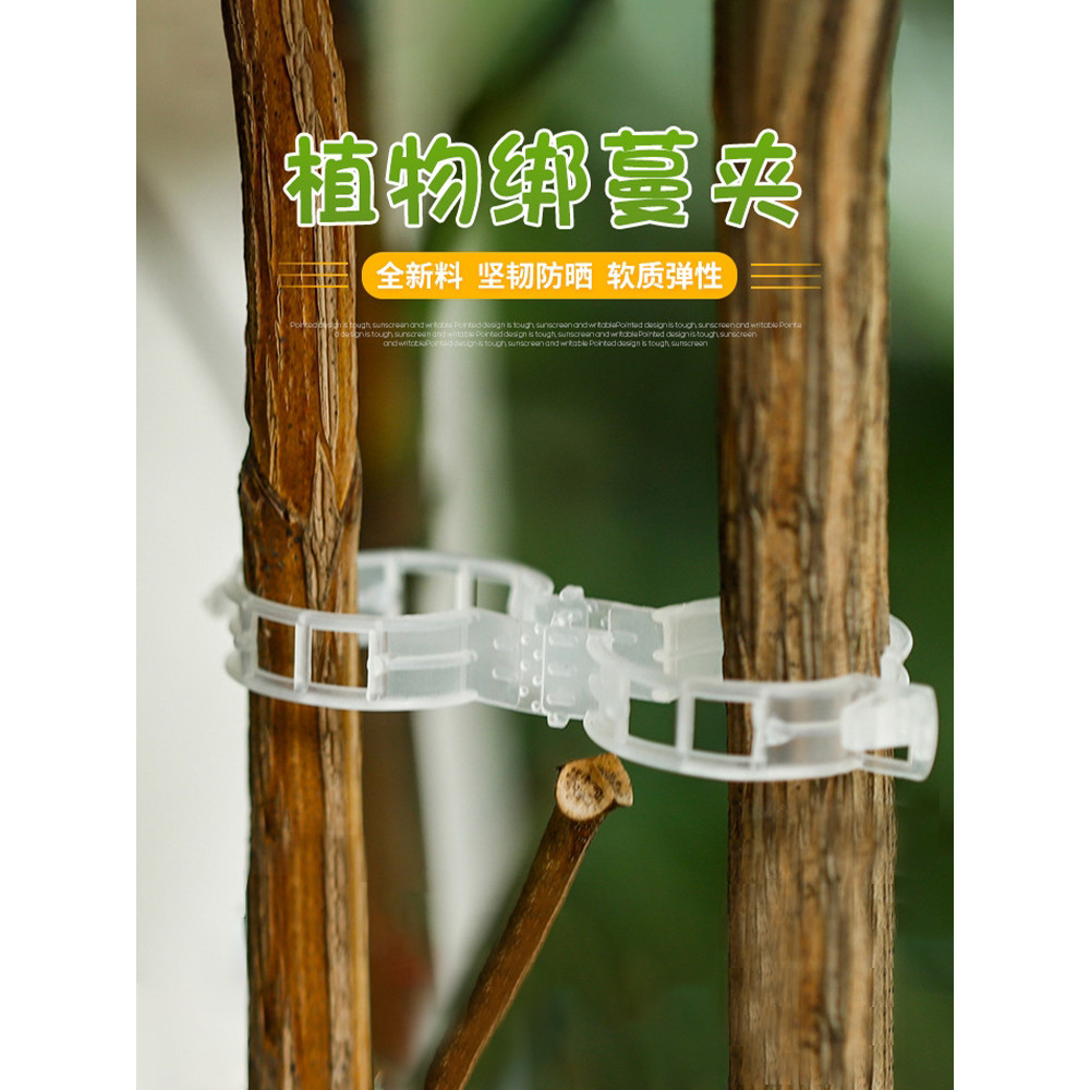 Fu Vine Fixing Clip Plant Fixing Clip Tie Seed Buckle Green Plant Vine Tomato Handy Tool Tie Tomato 