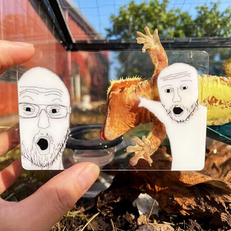 Meme Acrylic Card Meme Ngộ nghĩnh Chụp Ảnh Đạo Cụ Kiểm Tra Du Lịch Tốt Nghiệp Quà Tặng