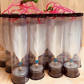 COMBO 20 QUẢ CẦU TRINH SUMY