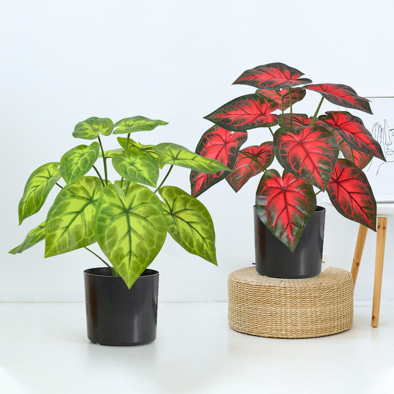 Cây khoai môn giả để bàn, cây xanh rất giống thật, trang trí lá khoai môn cho văn phòng, cây bonsai 