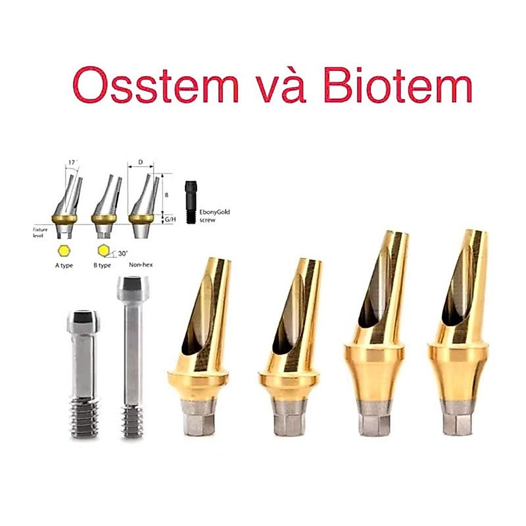 Abutment nghiêng 17 độ tương thích với implant Osstem/Hiossen và Biotem
