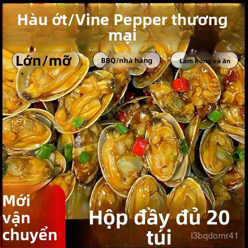 Ngao hoa tươi hải sản nhà hàng quán ăn chế biến sẵn đồ đông lạnh sỉ lẻ bán chạy giao nhanh