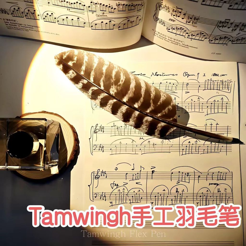 Tamwingh Handmade Feather Pen Retro Goose Feather Pen Feather Pen