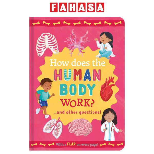 Sách ngoại văn: Mini Question And Answer Lift-The-flap Book - How Does The Human Body Work?