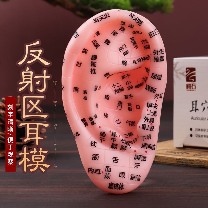 Ru Runshi Acupoint Model Tai Reflex Area Thiết bị Massage King Leaves No Line Seed Patch Ear Bean Pa