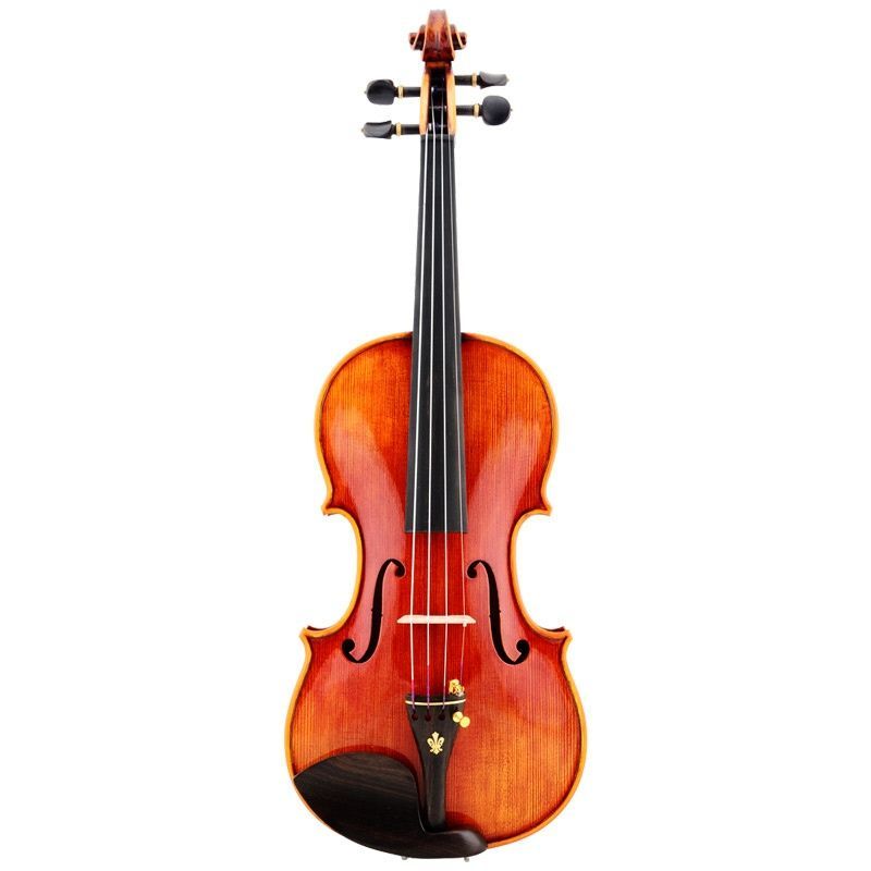 Elvira Đàn violin chuyên nghiệp của Ý, cấp độ chuyên nghiệp, cấp độ thi cử, cấp độ biểu diễn, làm th