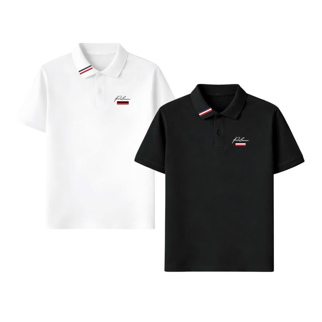 FASHION 69 - COMBO 2 ÁO THUN POLOMAN VẢI CÁ SẤU L18