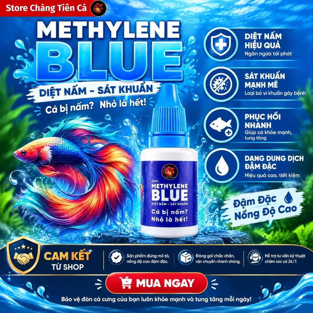 Methylene Blue Dung Dịch Chuyên Xử Lý Các Vấn Đề Ngoài Da Cho Cá Cảnh - Sát Khuẩn Giảm Stres