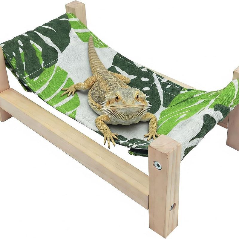 Bò Sát Giường Gỗ Tắc kè Võng Gỗ Thằn Lằn Võng Râu Rồng Xoay Giường Treo 7.2