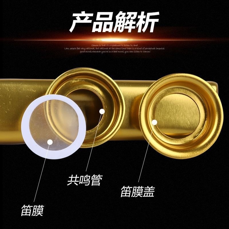 Kim Loại Kazoo Hiệu Suất Cấp Kazoo Phong Cách Mới Kim Loại Kazoo Hiệu Suất Cấp Zoo Kazoo Phong Cách 