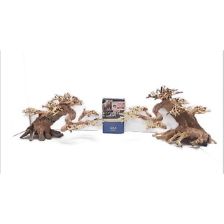 Lũa bonsai dùng cấy rêu (N 17- C10)