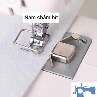 Nam châm cử