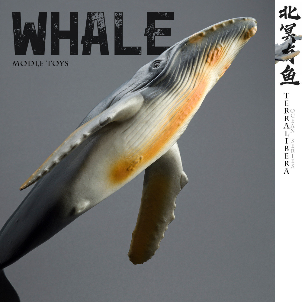 Mô phỏng mô hình động vật biển Beluga Killer Whale Blue Whale Sea Turtle Toy