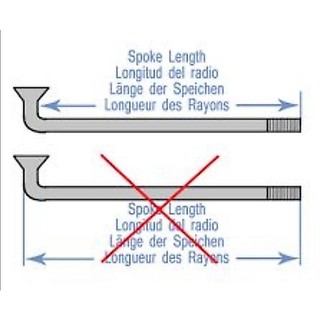 Nan Hoa (Căm Xe Đạp) Inox 304
