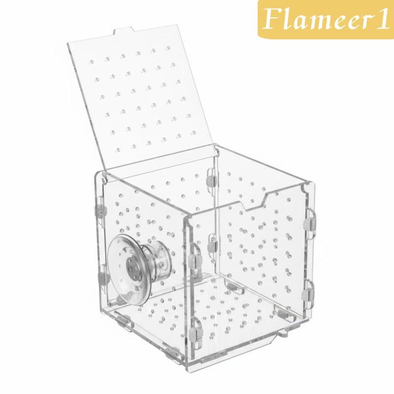 Betta Aquatic Pet Breeding Box Độ rõ nét cao Acrylic Aquatic Pet Tách Box Aquatic Habitat Breeder Co
