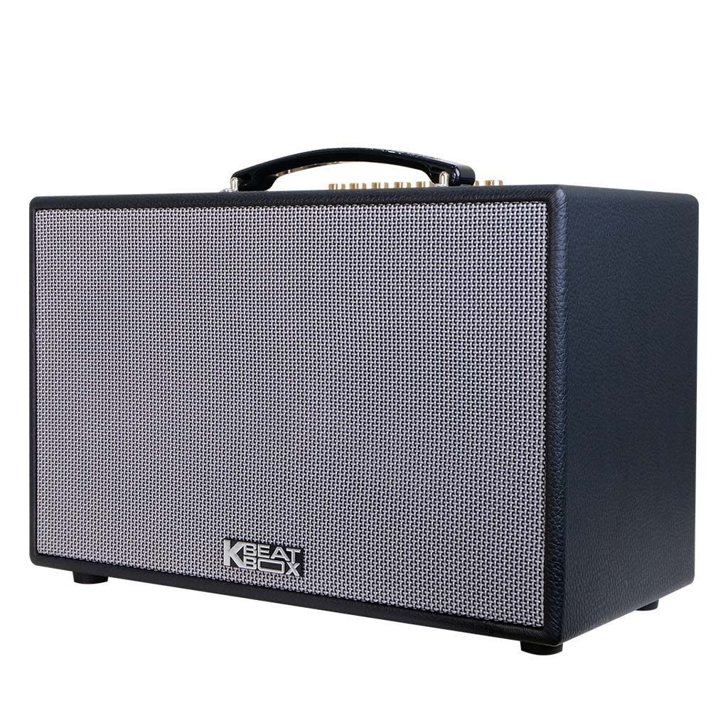 Loa Karaoke Xách Tay ACNOS CS201PU, CS251PU - Hàng Chính Hãng Acnos Sơn Ca, BH 12 Tháng Toàn Quốc