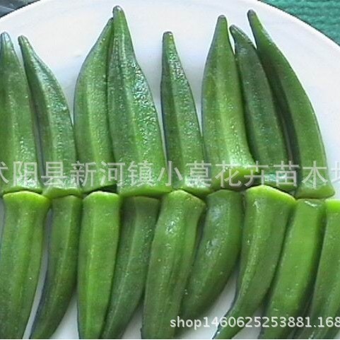 Hạt giống rau củ đầy màu sắc Hạt Okara màu vàng Ban công Rau / Cây trồng trong chậu