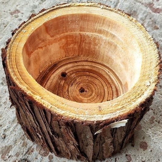 Chậu hoa Nhật Ký gỗ linh sam cây văn phòng Chậu hoa gỗ cây nhật ký sáng tạo chậu hoa gỗ chậu hoa gỗ