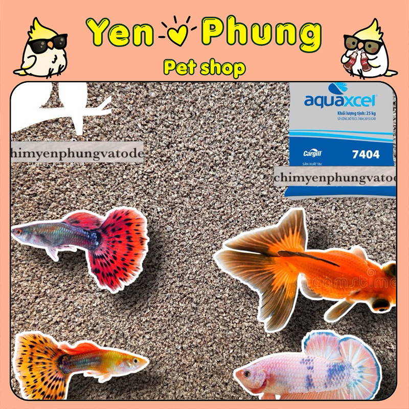 1kg Cám Cargill 7404 – Cho Cá Bảy Màu, Ba Đuôi, Betta, Cá Vàng
