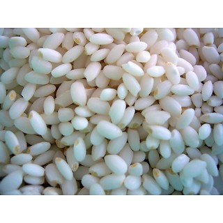 [1kg/ 5kg] Nếp Bắc Cái Hoa Vàng  – nếp 6 tháng dẻo thơm ,hạt tròn nhỏ, chuẩn vị ngon