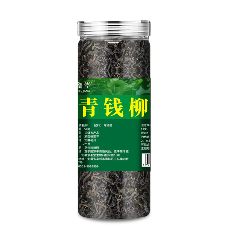 Green Money Willow Green Money Willow Ancient Tree Flower Đóng hộp 50g Green Money Willow Large Good