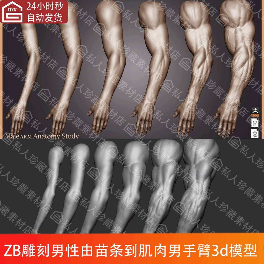 ZBrush Khắc Cánh Tay Nam 3D Model stl Slim to Muscle Man Hand Change Anatomy Can In 3D
