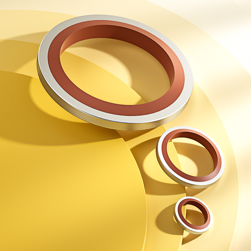 JB982-77 Kết Hợp Gioăng 304 Thép Không Gỉ Fluorine Keo Nửa Gói Kết Hợp Niêm Phong Phần Chịu Nhiệt Độ