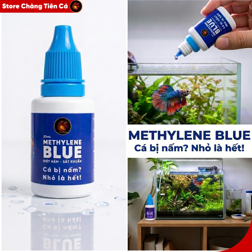 Combo 10 tặng 2 - Xanh Methylene Blue Chuyên Xử Lý Các Vấn Đề Ngoài Da Cho Cá Cảnh