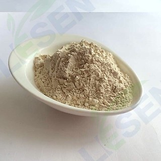 500gr Gói Bột Hành