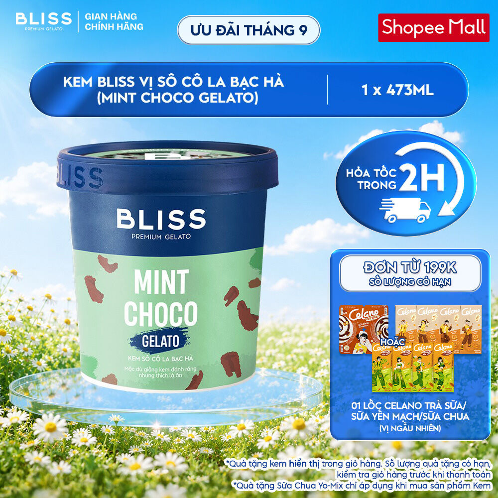 [Hỏa tốc HN/HCM] Kem BLISS vị Sô Cô La Bạc Hà (Mint Choco Gelato) hộp 473ml