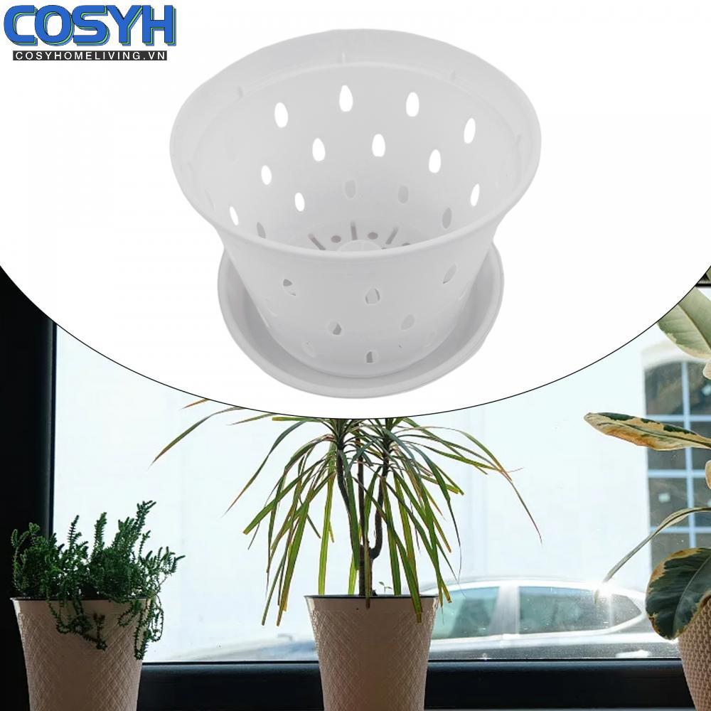 <cosyh>Orchid Pots Garden Home Decor Plant Plastic Vegetable 1/5pcs 5.5 Inches