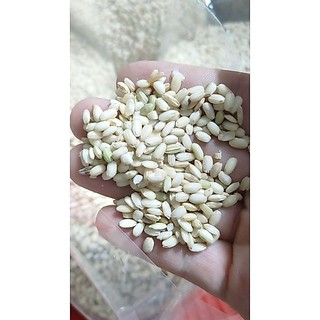 [HCM]Nếp lứt Bắc (+ men/ko men) - 1KG