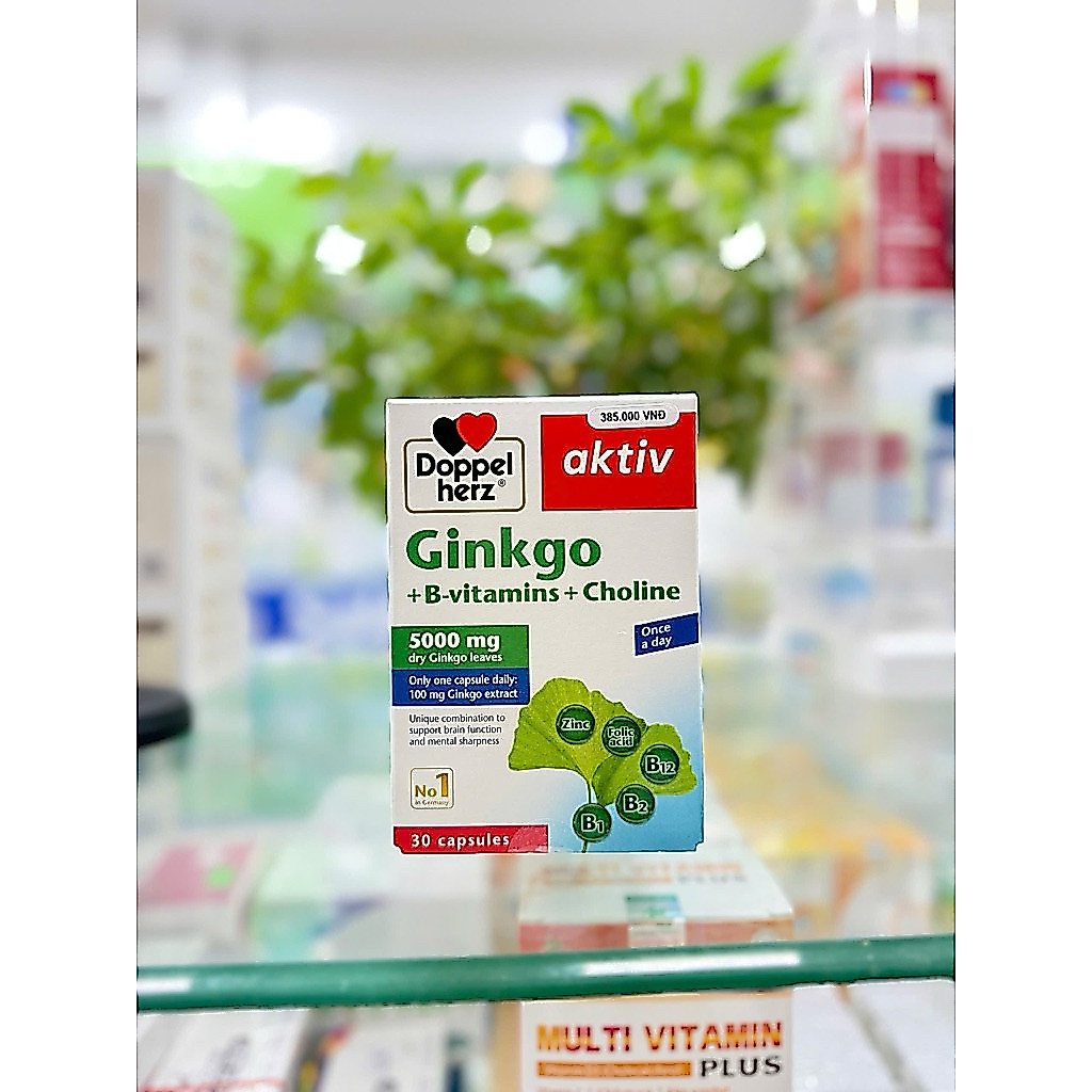 TPBVSK Ginkgo + B-vitamins + Choline
