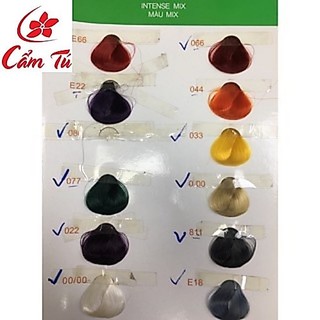 Thuốc Nhuộm Tóc Everflo - mpcamtu