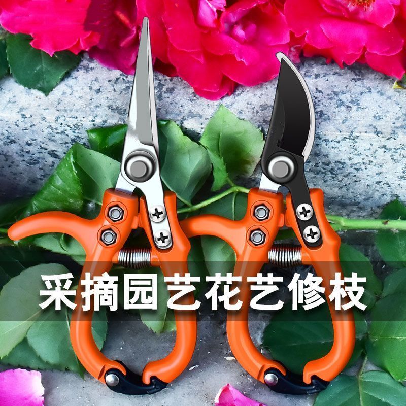 Kéo Chọn Đặc Biệt Cắt Hoa Cắt Tỉa Dụng Cụ Đặc Biệt Mạnh Mẽ Hộ Gia Đình Willing Kéo Vườn