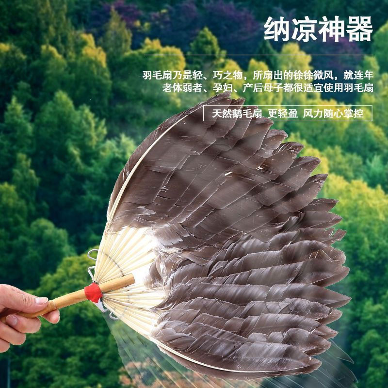 Feather fan for babies, portable vintage summer fan10y Zhuge Liang feather fan, peacock feather fan,