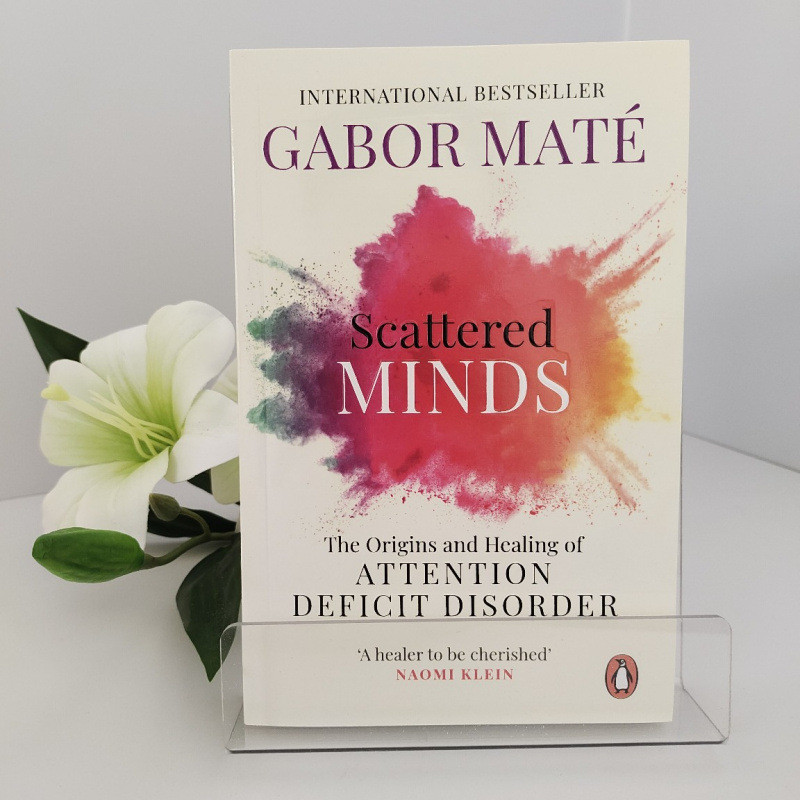 Gabor Mind Phiên bản tiếng Anh Tiểu thuyết mascatteredminds