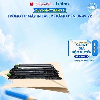 Trống từ Brother DR-B022