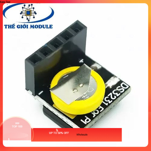 342 Module thời gian thực RTC DS3231 cho Raspberry Pi