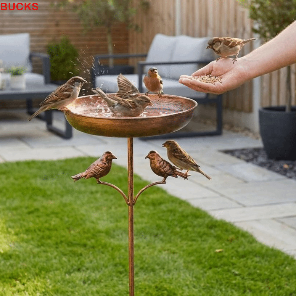 BUCKS Iron Bird Bath Feeder, Bát đứng bằng kim loại chống gỉ Birdbath độc lập, Hummingbird Feeder He