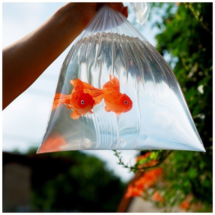 Creative new baby prop items for travel photography simulated goldfish12y Photography prop artificia