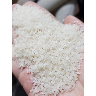 [1kg/ 5kg] Gạo tấm thơm - mềm dẻo, hạt nhỏ, thơm ngon, phù hợp nấu cơm tấm & cháo