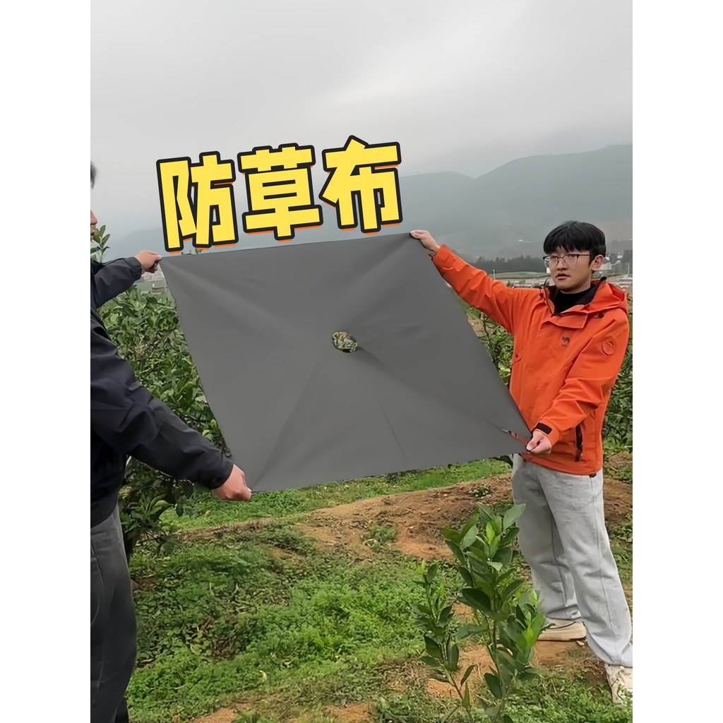 Vải Chống Cỏ Cây Trái Cây Chuyên Dụng Mới Đen Tầng Màng Làm Cỏ Vải Bền Chống Lão Hóa Chống Thấm Nước