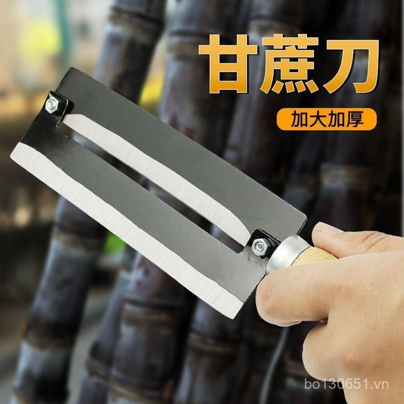 Peel Planer Peeling Knife Stall Rau diếp Dứa Planer Dày Thép Carbon Đường mía Dao Dưa Planer Cane No
